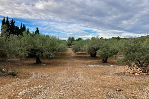 Finca i El Perello, Tarragona, El Perello - € 77.000 | Ref: Finca Manu Ampo - foto 29